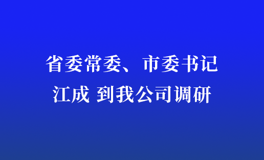 省委常委、市委书记江成到我公司调研